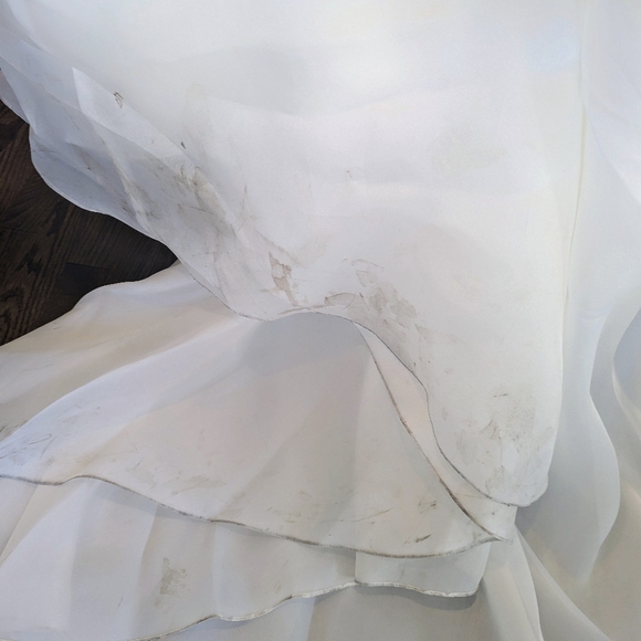 Vera Wang Wedding Dress - Picture 8 of 9
